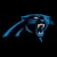 Carolina Panthers